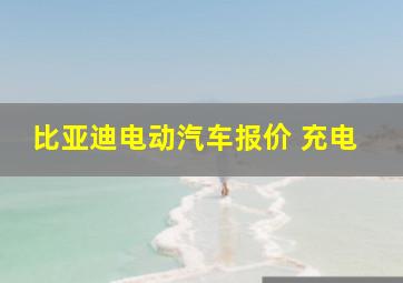 比亚迪电动汽车报价 充电